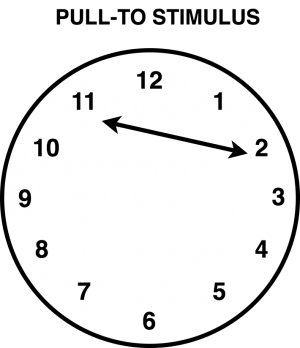 Pull To Stimulus: The drawing shows how the drawer is "pulled" immediately to the minute hand "2," rather than returning back to the centre of the clock first.