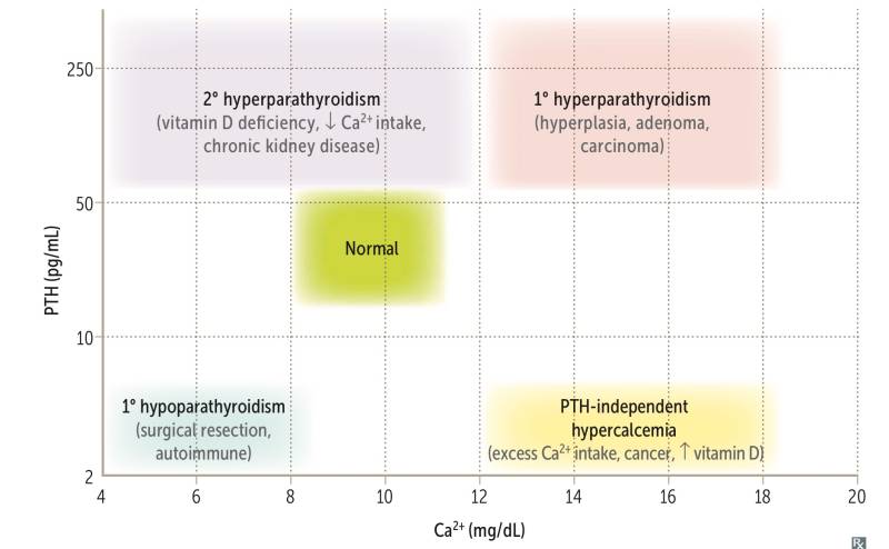 Hyperparathyroidism
