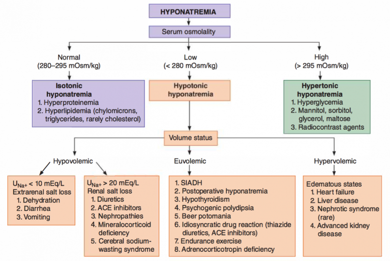 Approach to Hyponatremia, (from Papadakis M.A., McPhee S.J., Rabow M.W. Eds. Maxine A. Current Medical Diagnosis & Treatment 2017 New York, NY: McGraw-Hill)