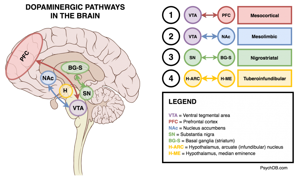 Introduction to Antipsychotics - PsychDB