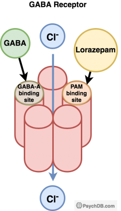 GABA Receptor Mechanism of Action (GABA and PAM receptor sites)
