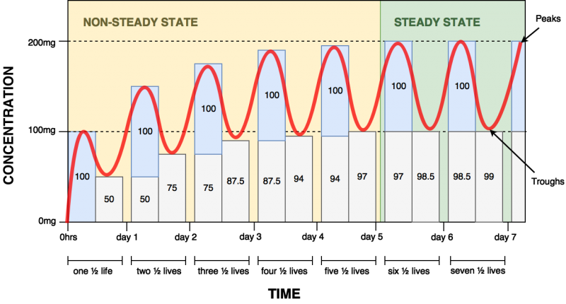 Steady State