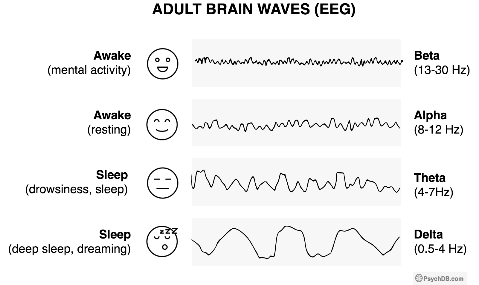 EEG PNG