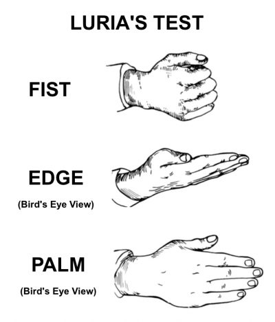 Luria's Test ("Fist-Edge-Palm")